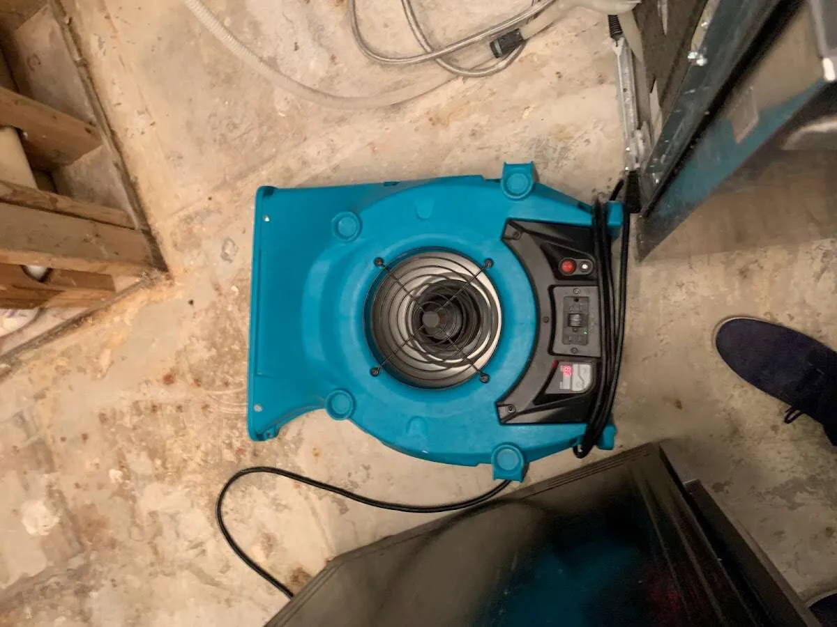 Air mover drying equipment for Mold Remediation & Removal in Newburyport